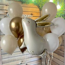 Шары для выписки из роддома курск (10)