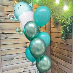 Шары для выписки из роддома курск (14)