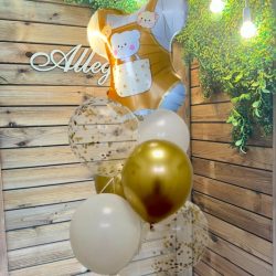 Шары для выписки из роддома курск (17)