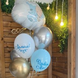 Шары для выписки из роддома курск (23)
