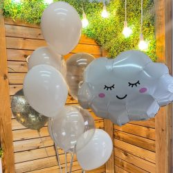 Шары для выписки из роддома курск (5)