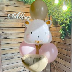 Шары для выписки из роддома курск (7)