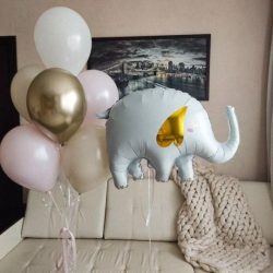 Шары для выписки из роддома курск (9)