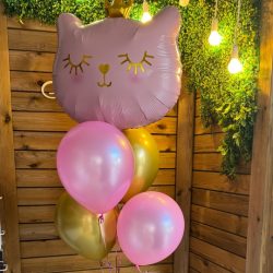 Шары с фигурами